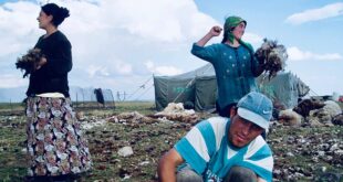 Un día más en la oficina del monte Aragats para los pastores yezidíes armenios. Fotografía: Karlos Zurutuza.